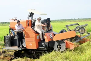 presiden-prabowo-tinjau-langsung-panen-padi-di-merauke-dalam-upaya-swasembada-pangan
