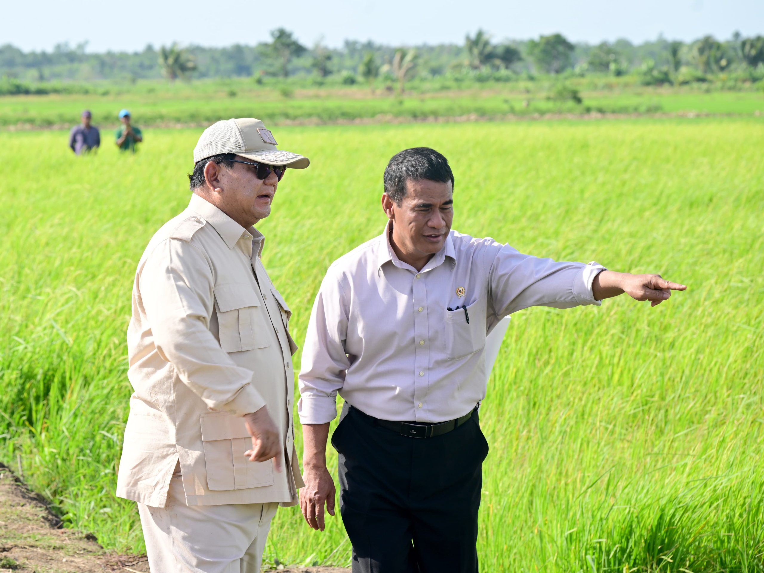 presiden-prabowo-tinjau-langsung-panen-padi-di-merauke-dalam-upaya-swasembada-pangan